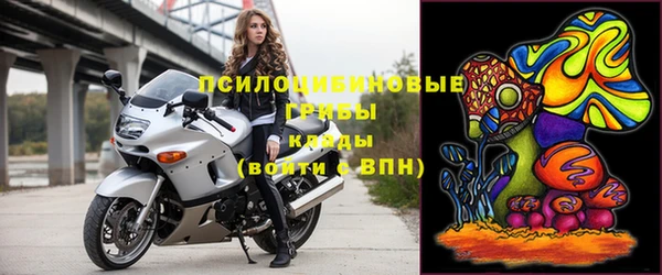 2c-b Алзамай