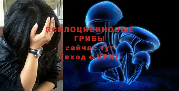 кристаллы Алексеевка